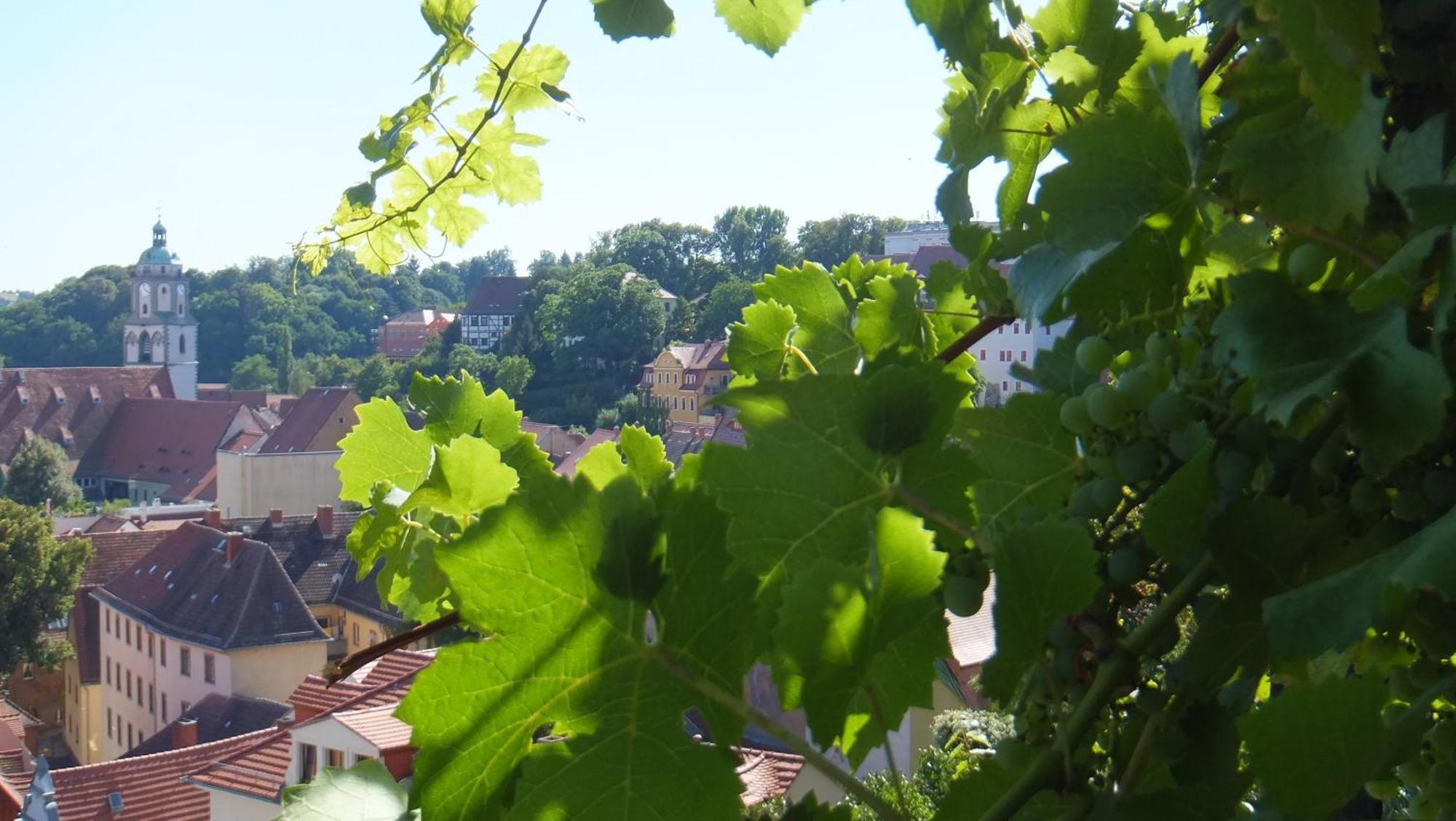 Hotel Schlossberg Meißen Eksteriør billede