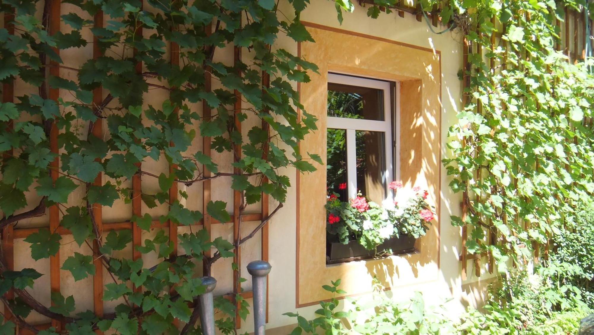 Hotel Schlossberg Meißen Eksteriør billede